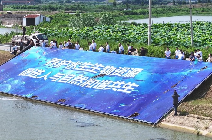 1689750351442349.jpg 圖片4.jpg