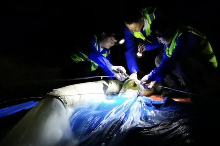 1693182132458936.jpg 2.jpg