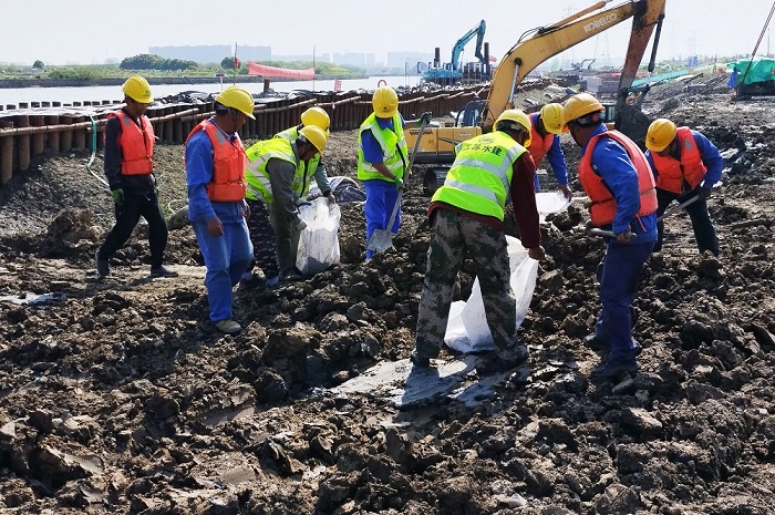 1713248017752887.jpg 2-1000.jpg