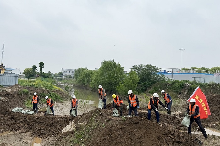 1714987805640484.jpg 2-1000.jpg