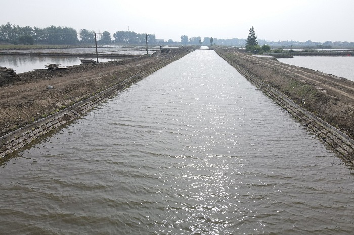 1717406047749668.jpg 2-1000.jpg